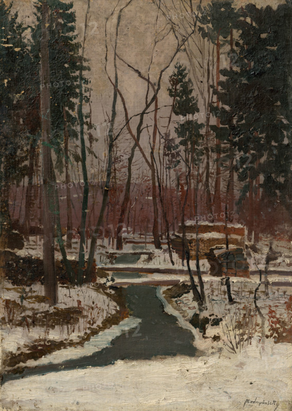 Thaw, 1877-1880.