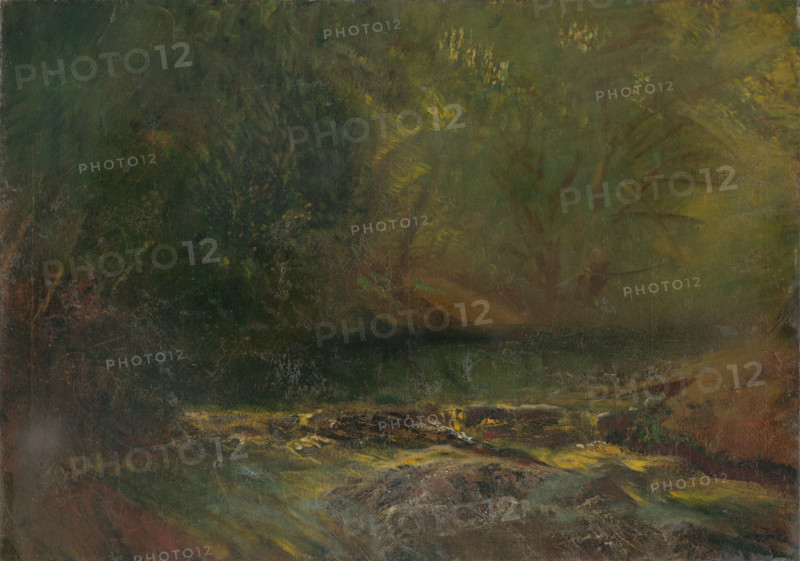 Forest Interior with a Brook, 1900-1902.