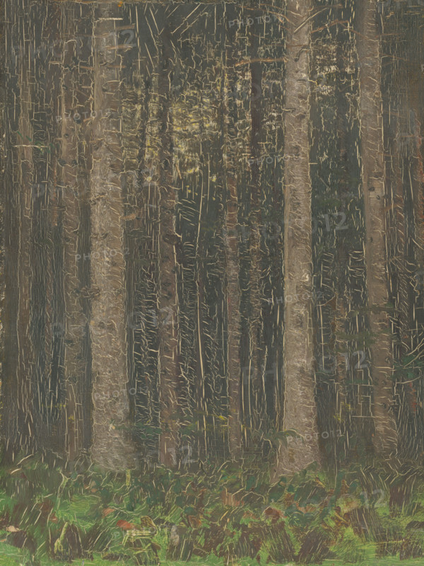 Forest Interior, 1880-1885.