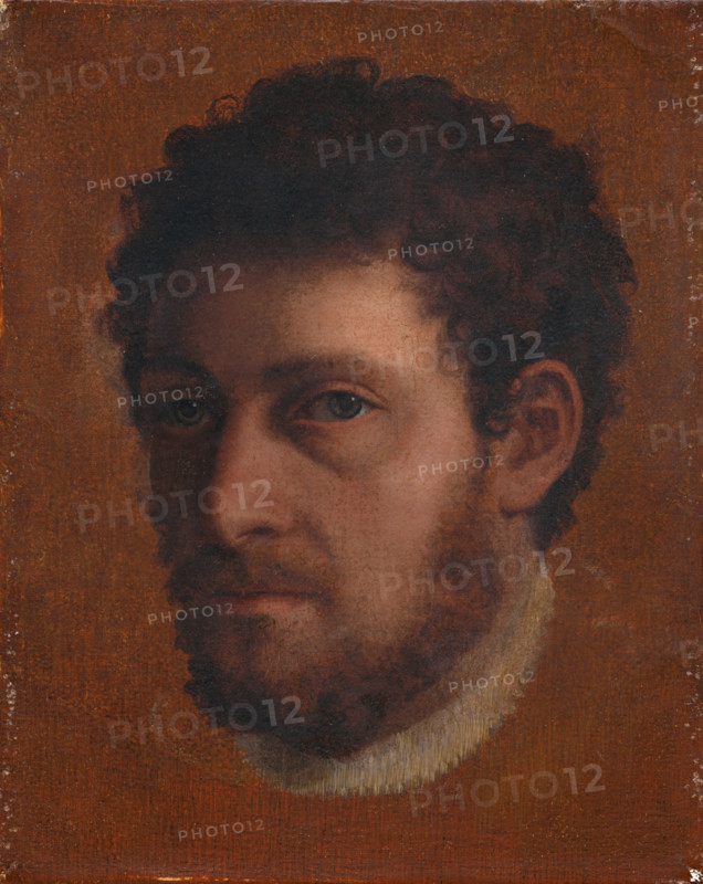 Head Study of a Young Man, around 1550.