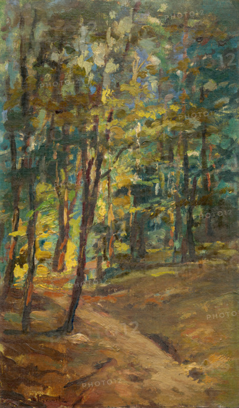 Forest interior, 1895-1905.