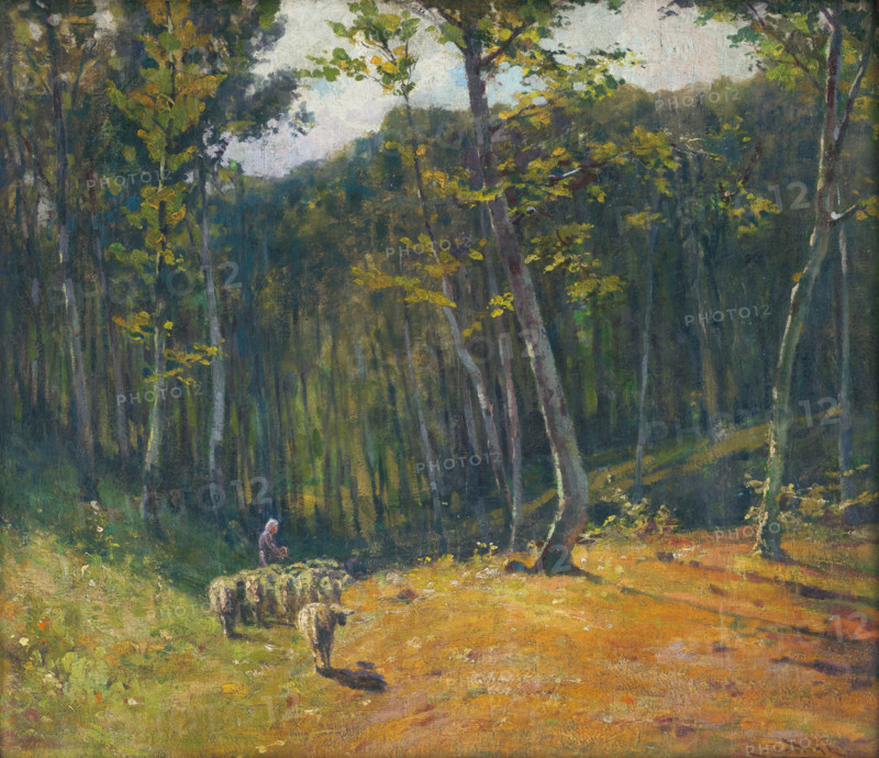 Forest with sheep, 1900-1910.