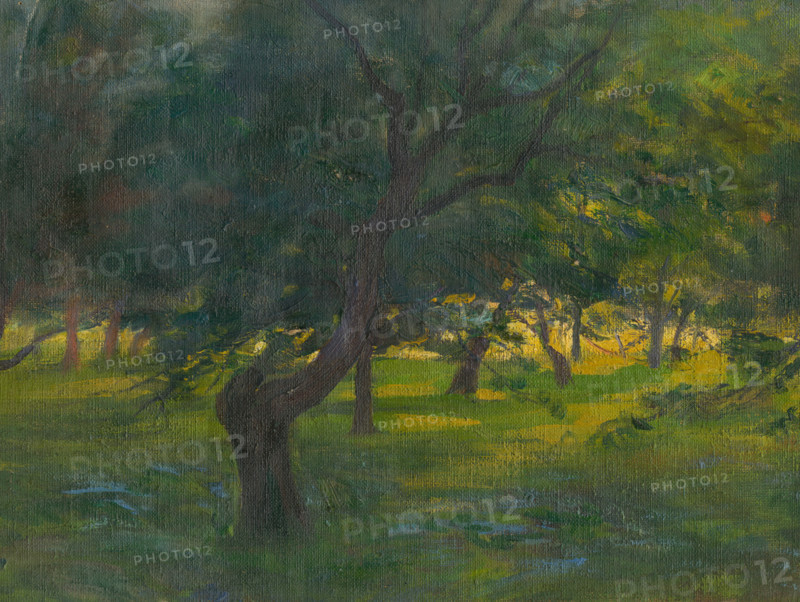 Landscape, around 1910.