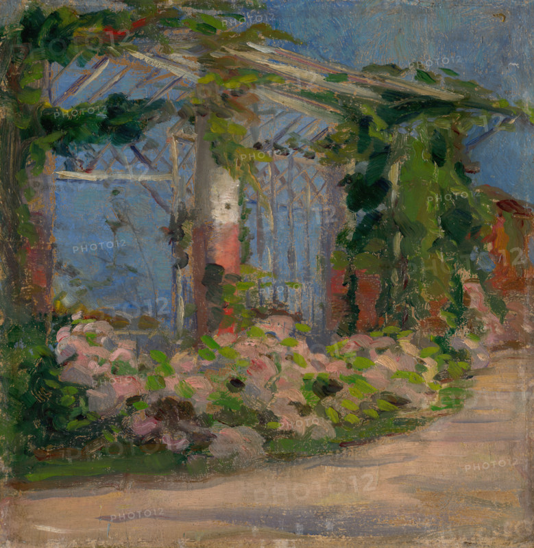 Motif from Garden, around 1900 - 1920.