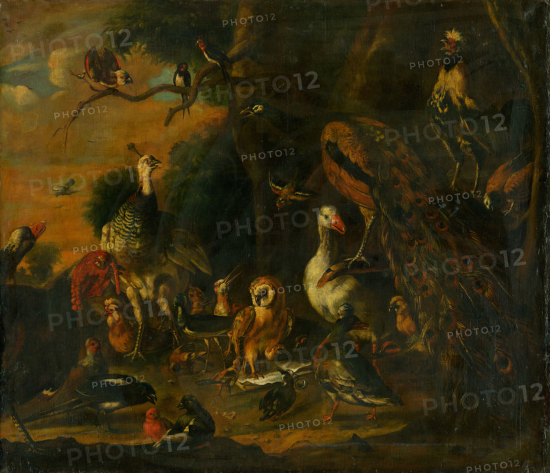 Every bird sings as its beak grows, 1700-1710.
