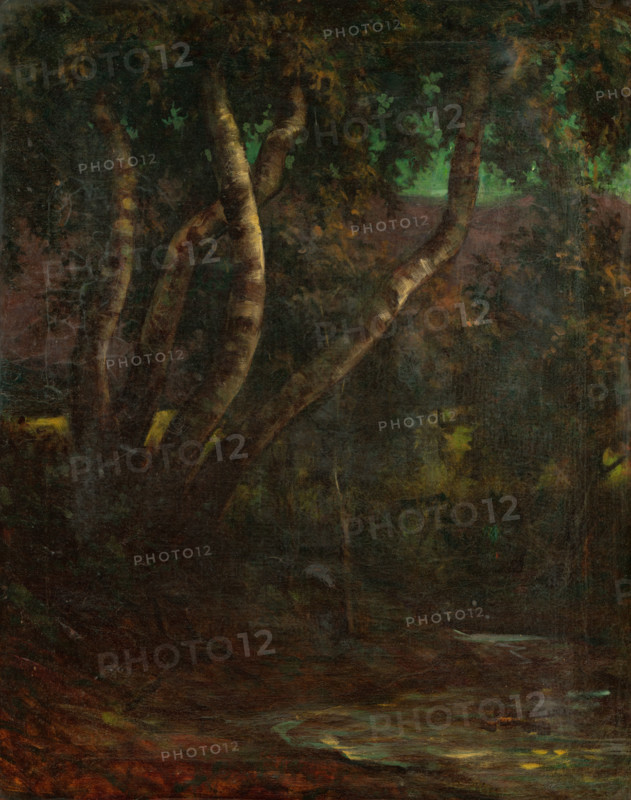 Forest, 1900-1920.