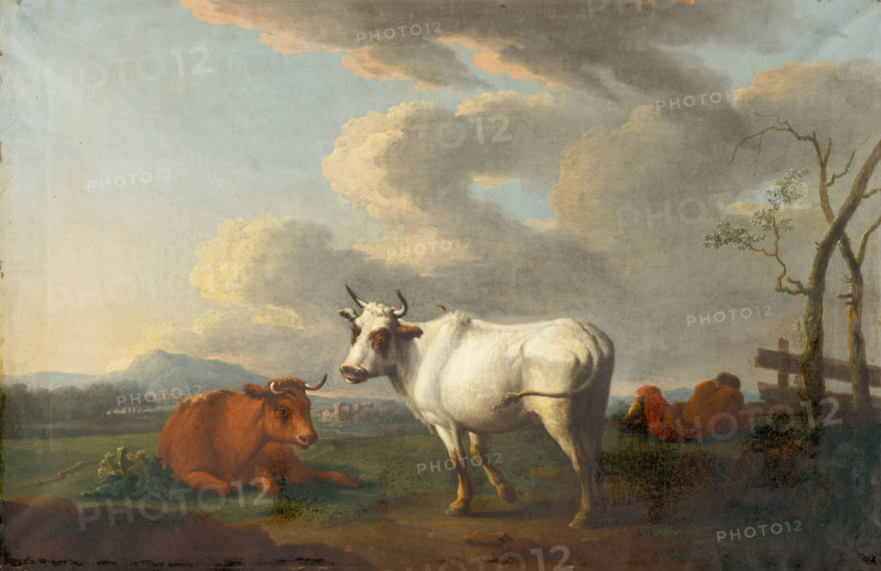 Cow Grazing, 1850-1860.