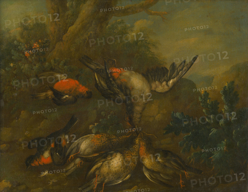 Still Life with Dead Birds, 1720-1730.