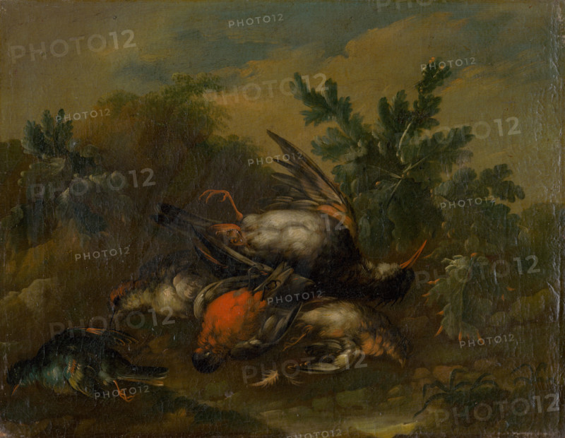 Still Life with Dead Birds, 1720-1730.