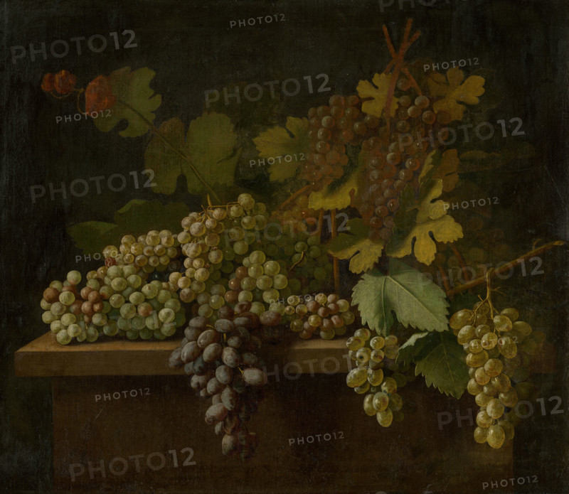 Still life with grapes, 1740-1750.