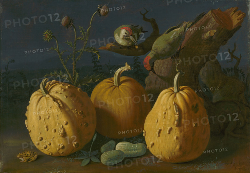 Still Life with Pumpkins and Cucumbers, 1734.