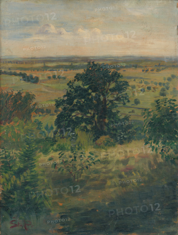 View of Súr, c1948. Landscape in Hungary.