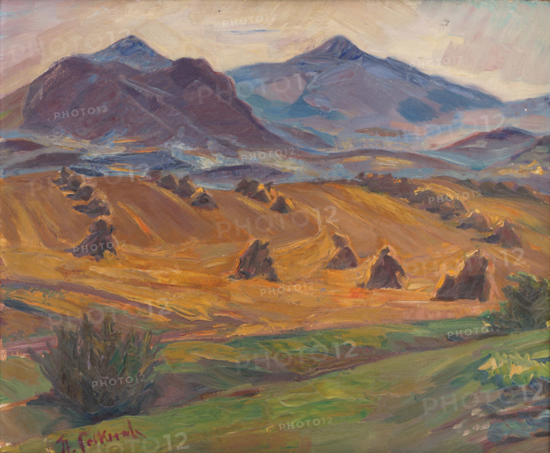 Martinské Hole, c1940. Fields with haystacks, and Fatra mountains in the distance, Slovakia.