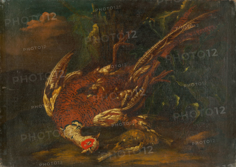Still Life with Guinea Fowl, 1730-1750.