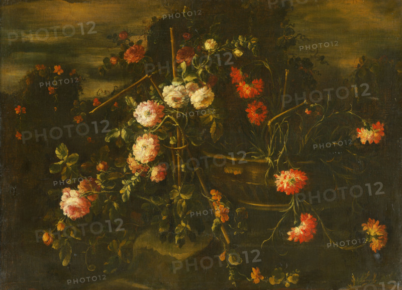 Flowers in Nature, 1730-1740.