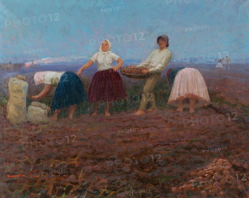 Potato Picking, 1924.