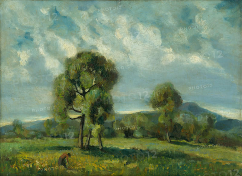 Landscape with trees, Liptov, c1934.