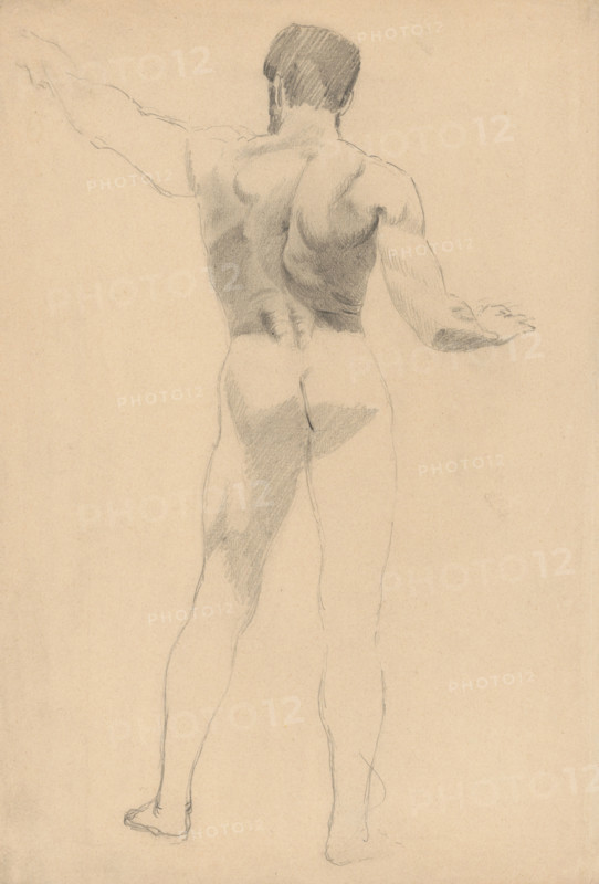 Male nude from behind, 1880-1904.