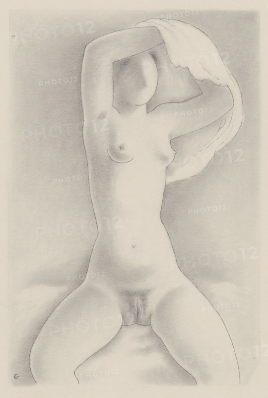 Woman with shirt VIII., 1930-1931.