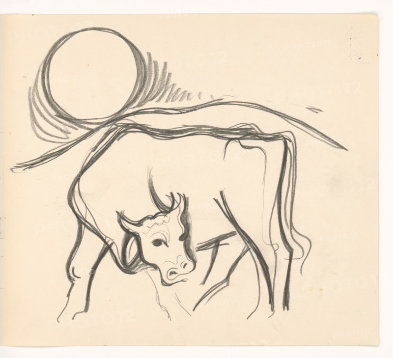Cow in the countryside, 1937.