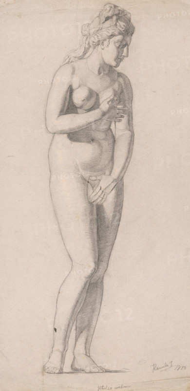 Study of a woman, 1883.