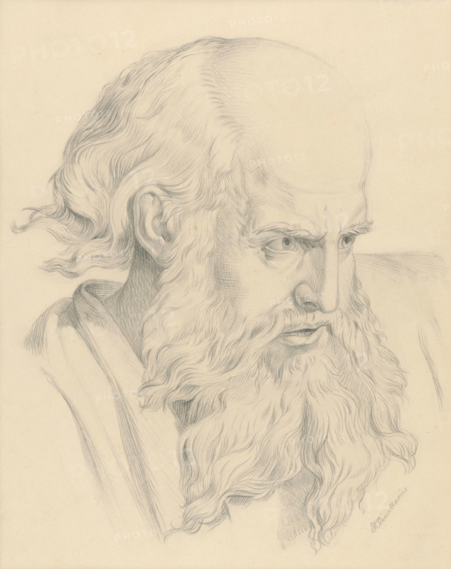 Old man's head, 1879.