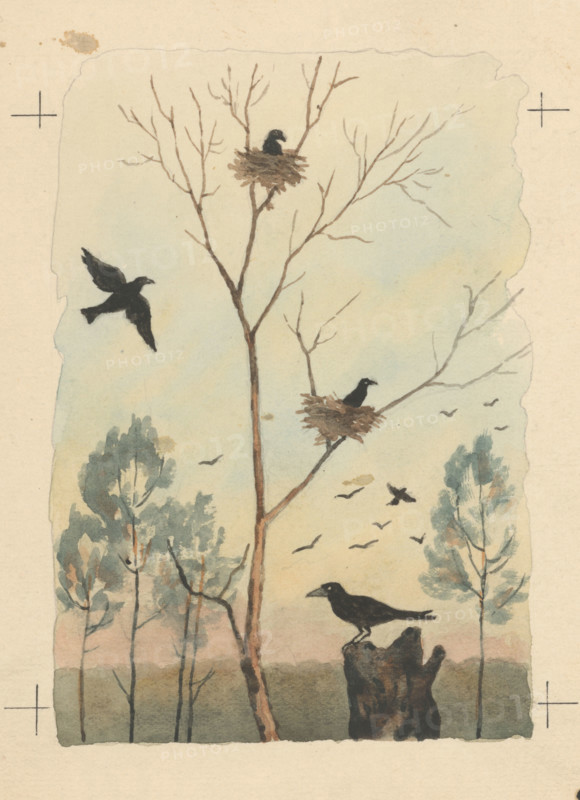 Crow, 1950-1953. Additional Info: Illustration for children's magazine Druzba, Bratislava 1950-53, vol.1, no.9, p.8, fig.9.