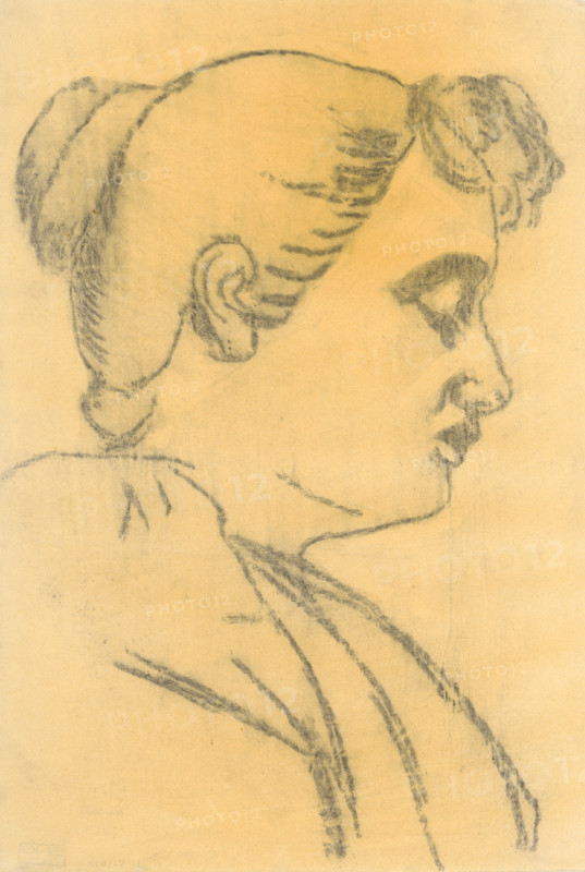 Head of a woman in profile, around 1890.