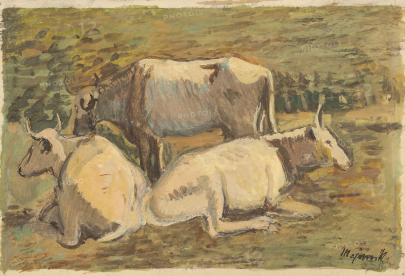 Cows, 1940.