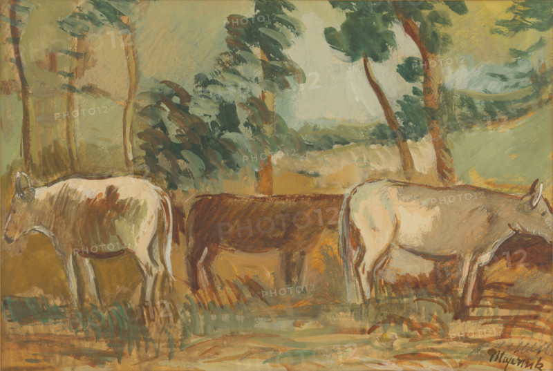 Cows on pasture, 1935-1940.