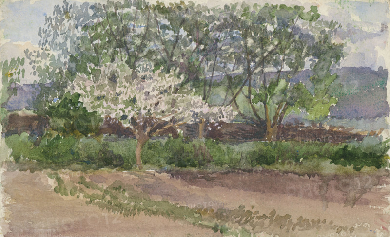 Blooming Tree, 1st half 20th century.