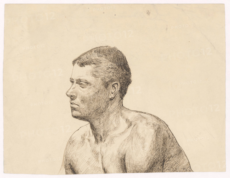 Study of a male bust, 1880-1910.