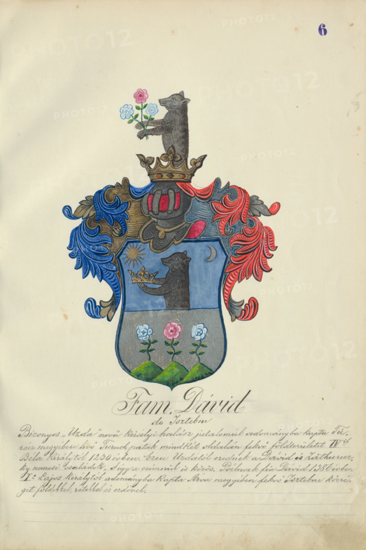 Coat of arms of the David family, 1904.   Additional Info: Adolf Medzihradsky's manuscript album arvamegyei nemesi csaladok cimerei 1755-1842 (Coats of arms of the gentry families of Orava County)