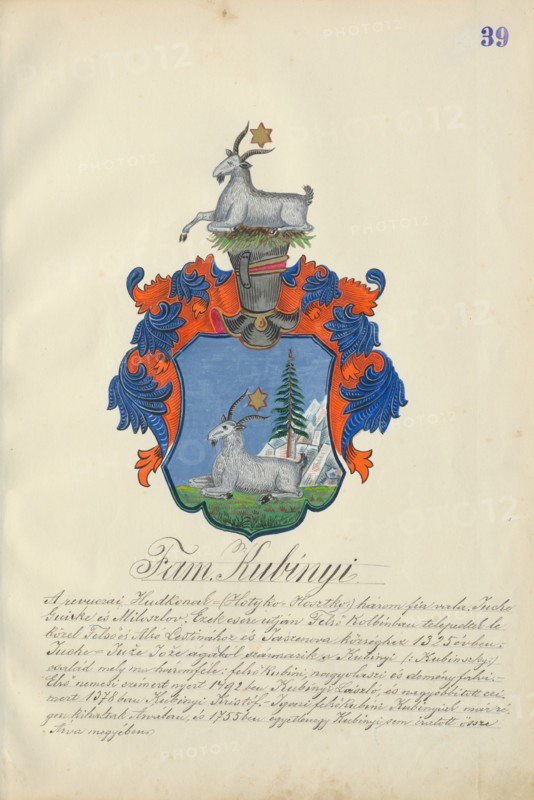 Coat of arms of the Kubinyi family, 1904.   Additional Info: Adolf Medzihradsky's manuscript album arvamegyei nemesi csaladok cimerei 1755-1842 (Coats of arms of the gentry families of Orava County)