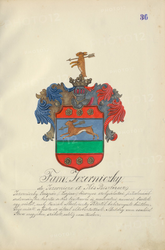 Coat of arms of the Jezernicka family, 1904.   Additional Info: Adolf Medzihradsky's manuscript album arvamegyei nemesi csaladok cimerei 1755-1842 (Coats of arms of the gentry families of Orava County)
