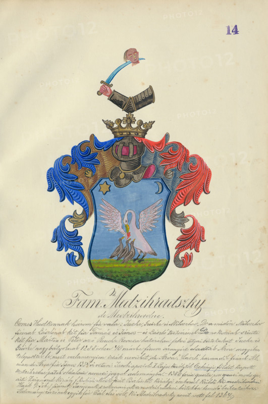 Coat of arms of the Medzihradska family, 1904.   Additional Info: Adolf Medzihradsky's manuscript album arvamegyei nemesi csaladok cimerei 1755-1842 (Coats of arms of the gentry families of Orava County)