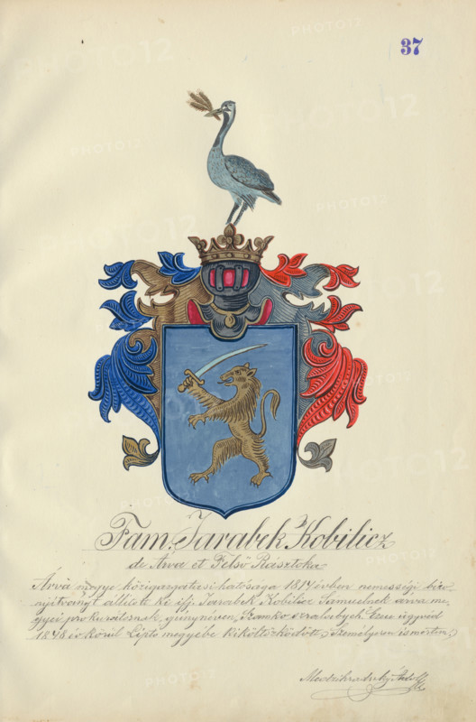 Coat of arms of the Jarabek family, 1904-1910.   Additional Info: Adolf Medzihradsky's manuscript album arvamegyei nemesi csaladok cimerei 1755-1842 (Coats of arms of the gentry families of Orava County)