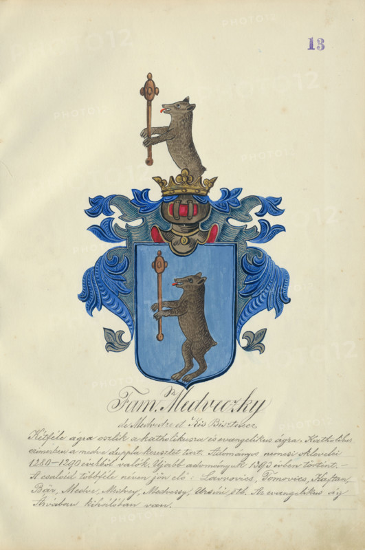 Coat of arms of the Medvecka family, 1904-1910.   Additional Info: Adolf Medzihradsky's manuscript album arvamegyei nemesi csaladok cimerei 1755-1842 (Coats of arms of the gentry families of Orava County)