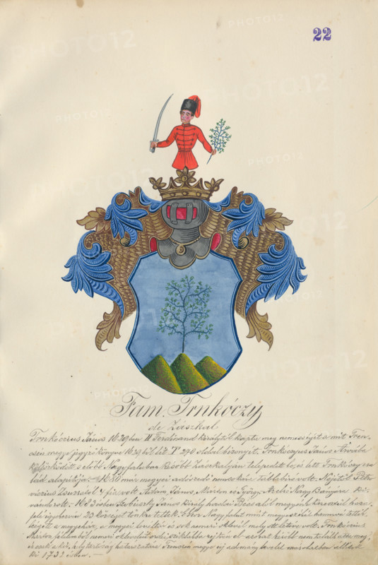 Coat of arms of the Trnkoczy family, 1904-1910.   Additional Info: Adolf Medzihradsky's manuscript album arvamegyei nemesi csaladok cimerei 1755-1842 (Coats of arms of the gentry families of Orava County)