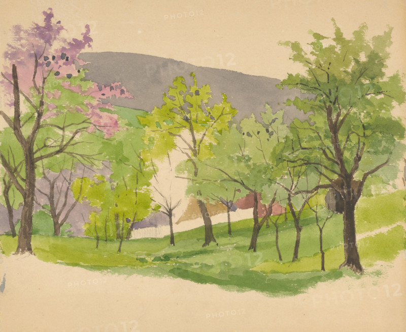 Flowering tree, 1870-1880.