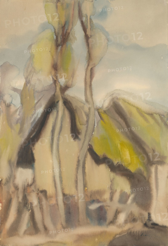 Cottage, 1929-1930.