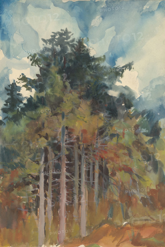 In the Forest in Autumn, 1928-1933.