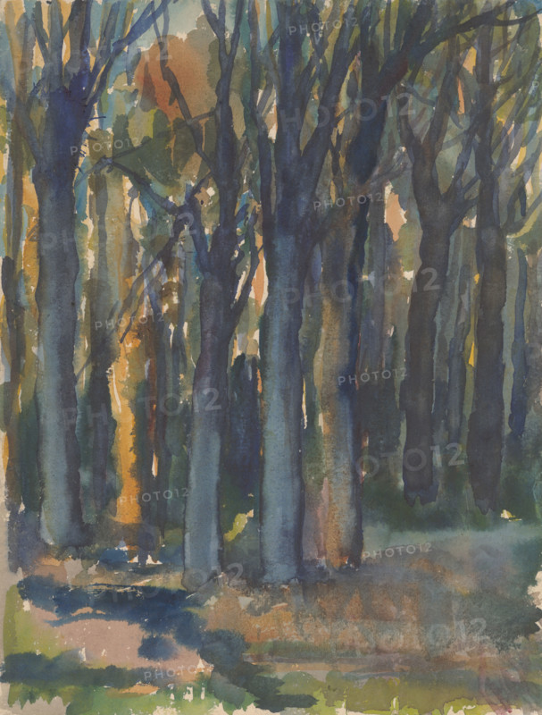 Forest, around 1935.