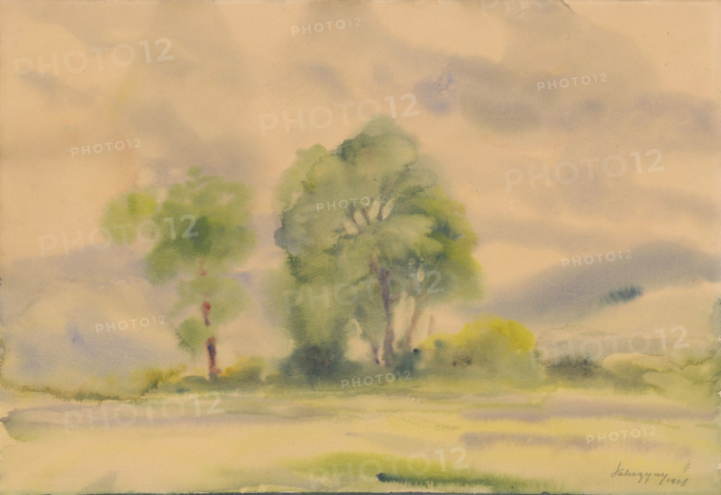 Countryside, 1928.