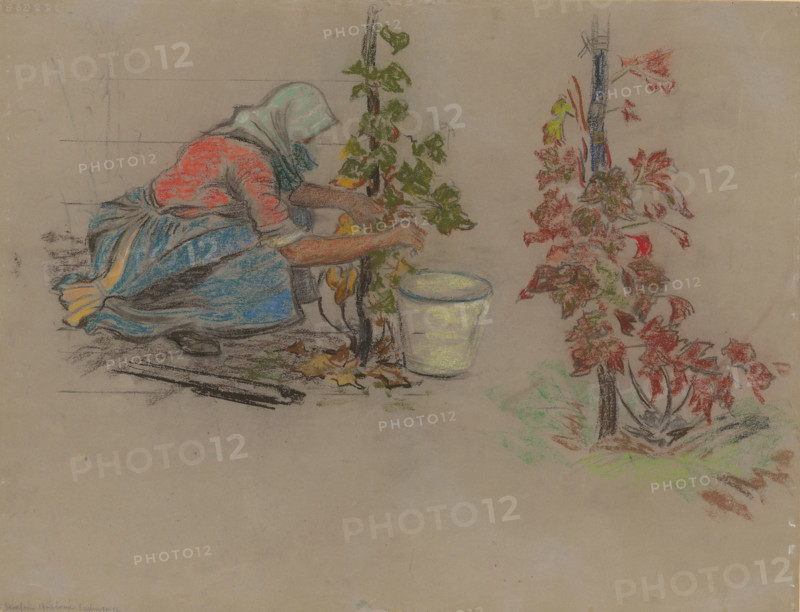 During Harvest, about 1942.