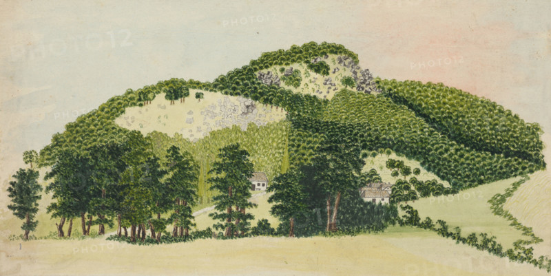 Forest I., 1850-1890.