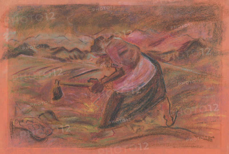 Picking potatoes, 1930-1935.