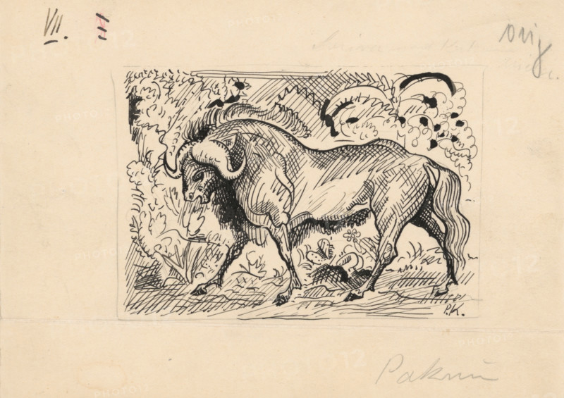Stories in the wilderness - 3, 1939-1940.   Additional Info: Illustrations for the book - Ludo Ondrejov. Adventures in the Wilderness. Bratislava; Martin: Jan Horacek, 1940.