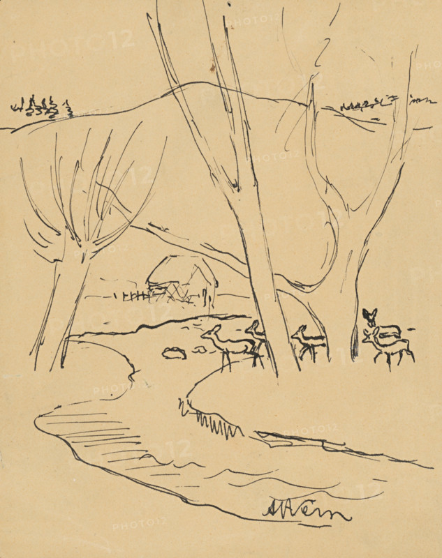 Deer in the forest, 1920-1929.