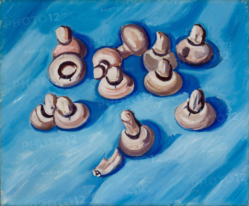Mushrooms on a Blue Background, 1929. Creator: Marsden Hartley.